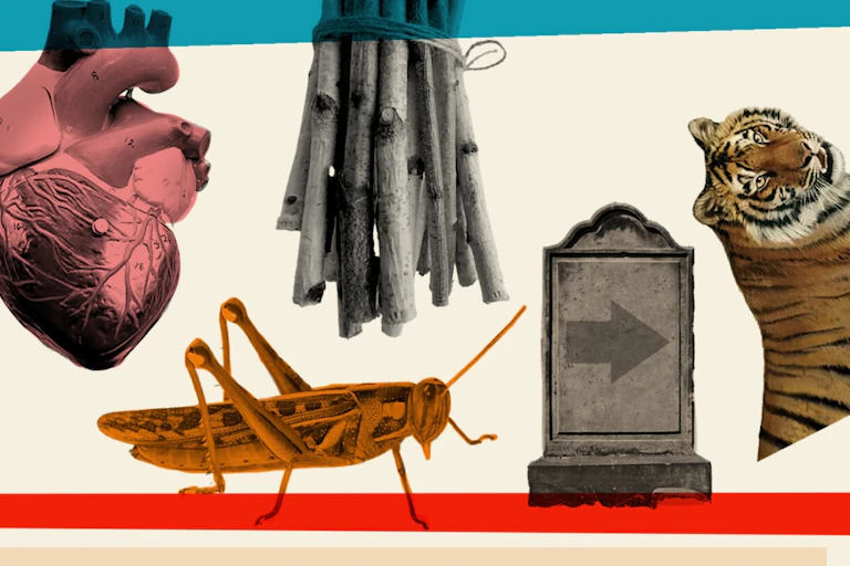 Illustrations deep-etched against a beige backdrop of a tiger, a human heart, a grasshopper, a bundle of sticks and a tombstone with an arrow on it.