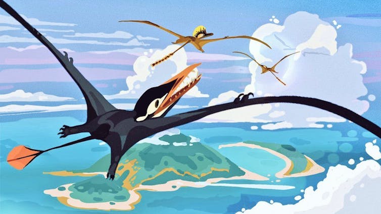 How pterosaurs can encourage plane design 2 Pterosaurs