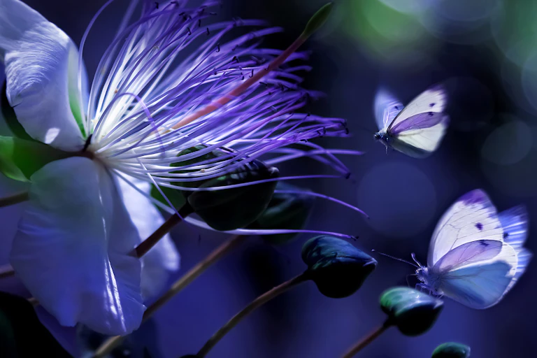 Una flor y varias mariposas en colores simulados