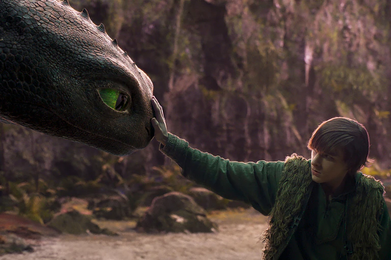 A boy reaching out to touch a dragon's face