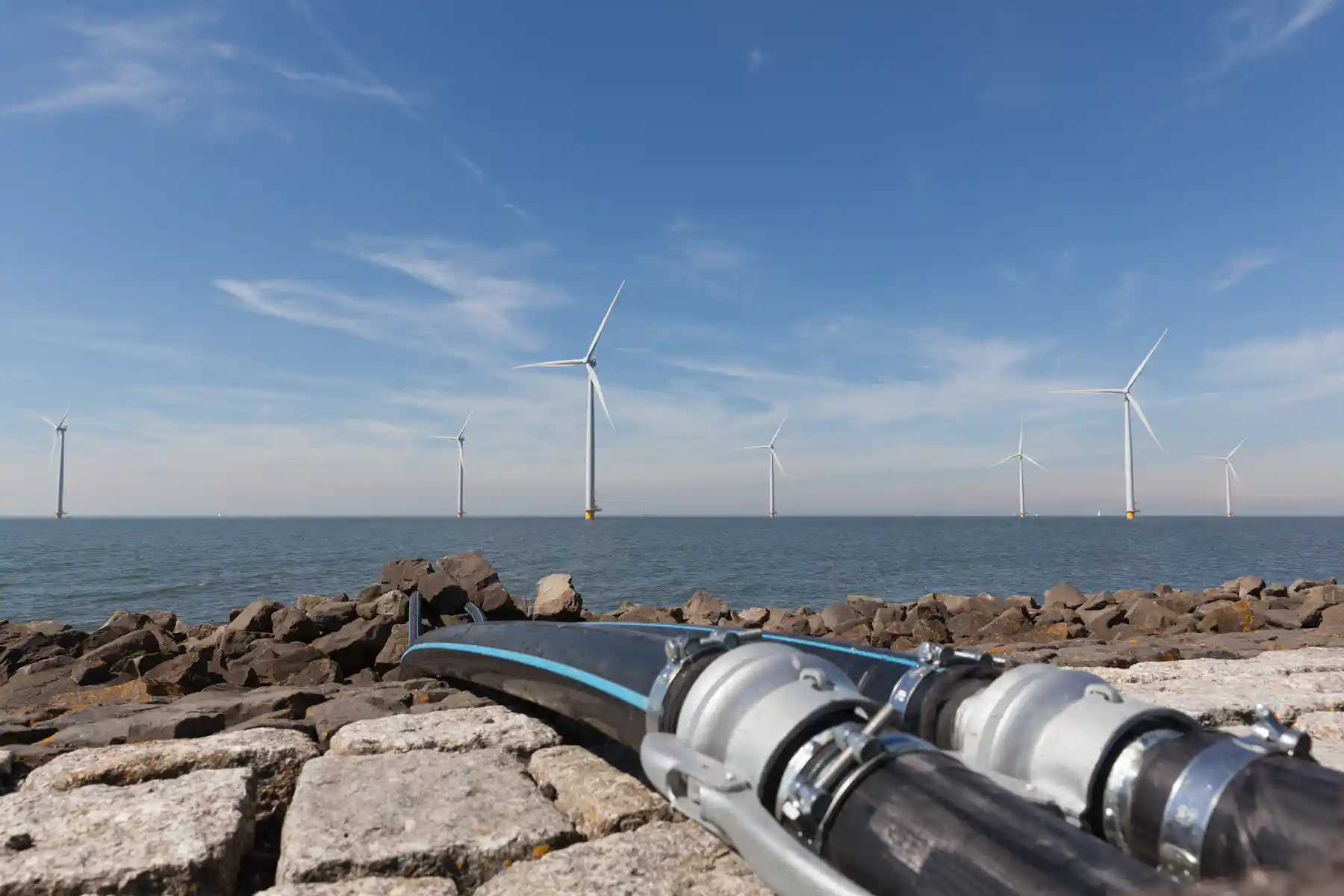 Wind Developer Why wind farm developers are pulling out at the last minute