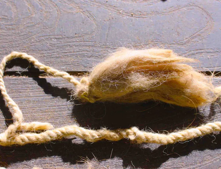 A Llama tail tassel Jucul.