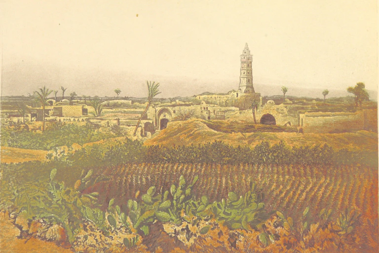 Dibujo colorido de una ciudad al fondo, con campos con flores en primer plano.