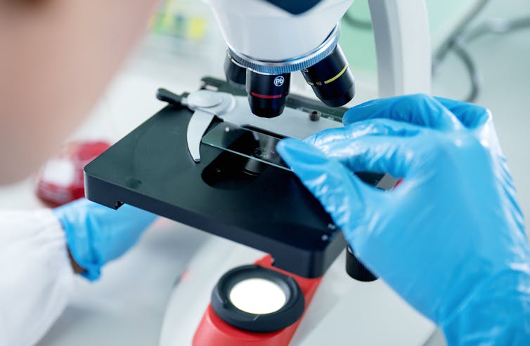 A woman looks through a microscope at a sample.