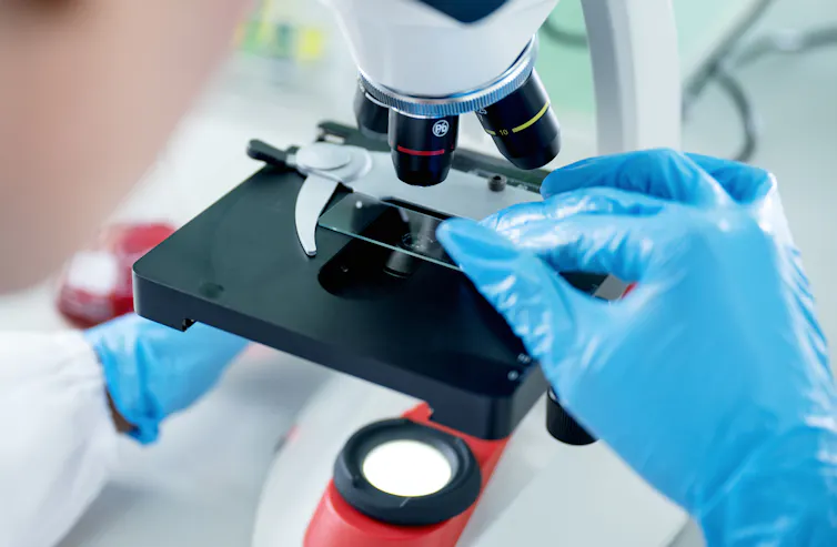 A woman looks through a microscope at a sample.