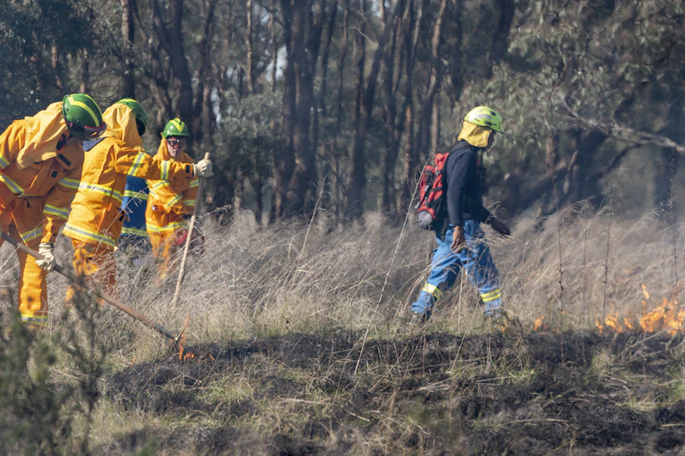 People in protection suits working on grassy area