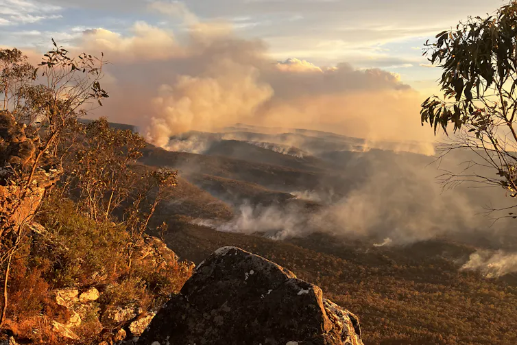 Smoke rises above charred land.