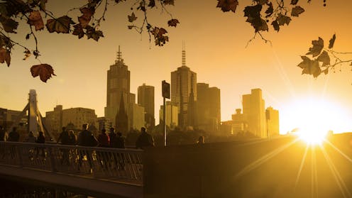 common street trees show surprising resilience to growing heat in Australia