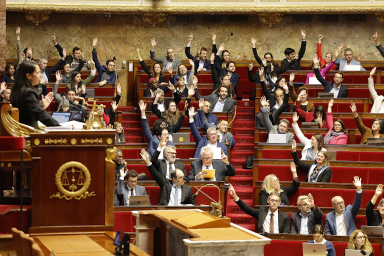 image de députés levant la main dans l'hémicycle.