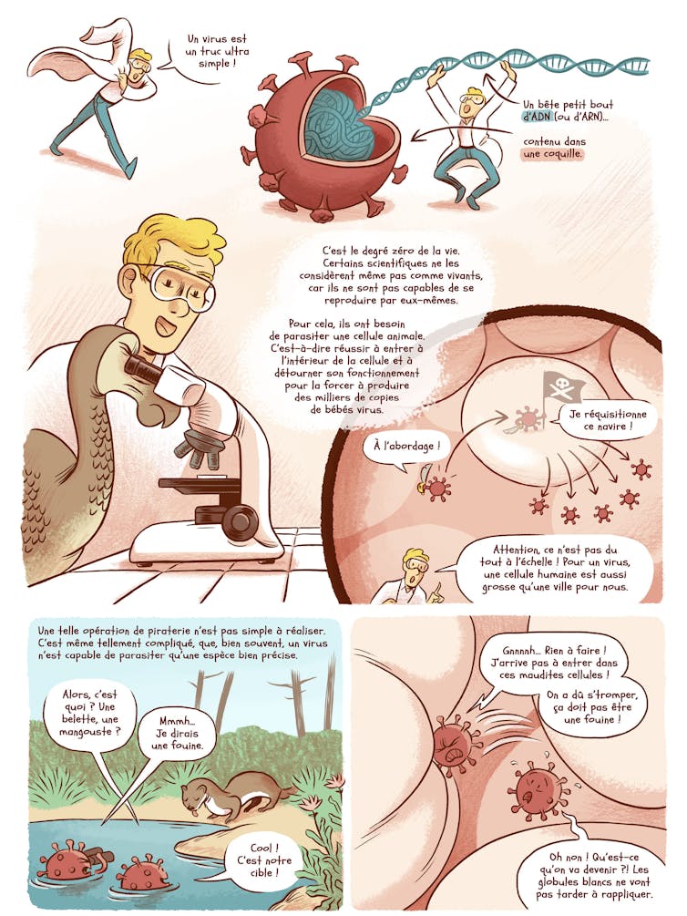 BD: Garden Gentle (Episode 7) 4 file 20250610 62 tsncmv.jpg?ixlib=rb 4.1