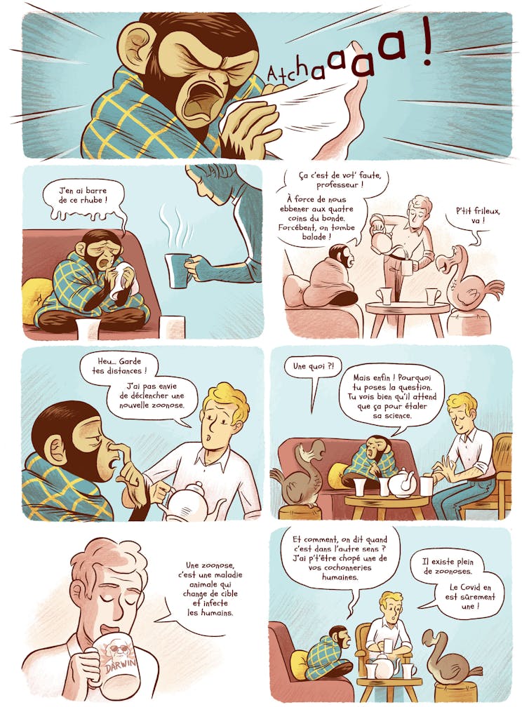 BD: Garden Gentle (Episode 7) 2 file 20250610 56 qfh3z1.jpg?ixlib=rb 4.1