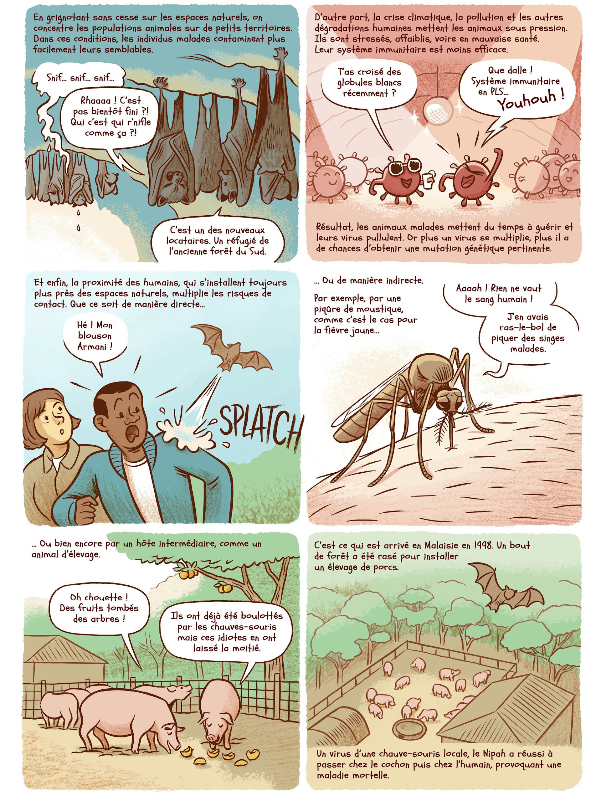 file 20250610 56 7zshx6.jpg?ixlib=rb 4.1