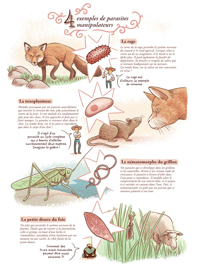 BD: Garden Gentle (Episode 7) 14 file 20250610 62 jlpczl.jpg?ixlib=rb 4.1