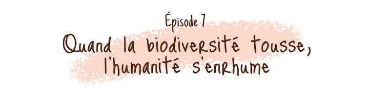 BD: Garden Gentle (Episode 7) 1 file 20250610 56 n2ykvd.jpg?ixlib=rb 4.1