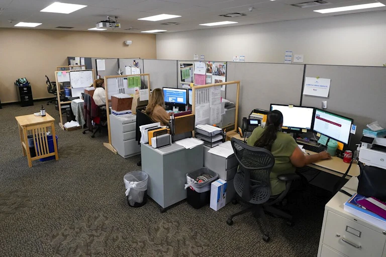 People work in office cubicles.