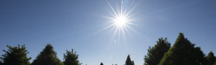 A view of the sun in a clear blue sky above some trees.