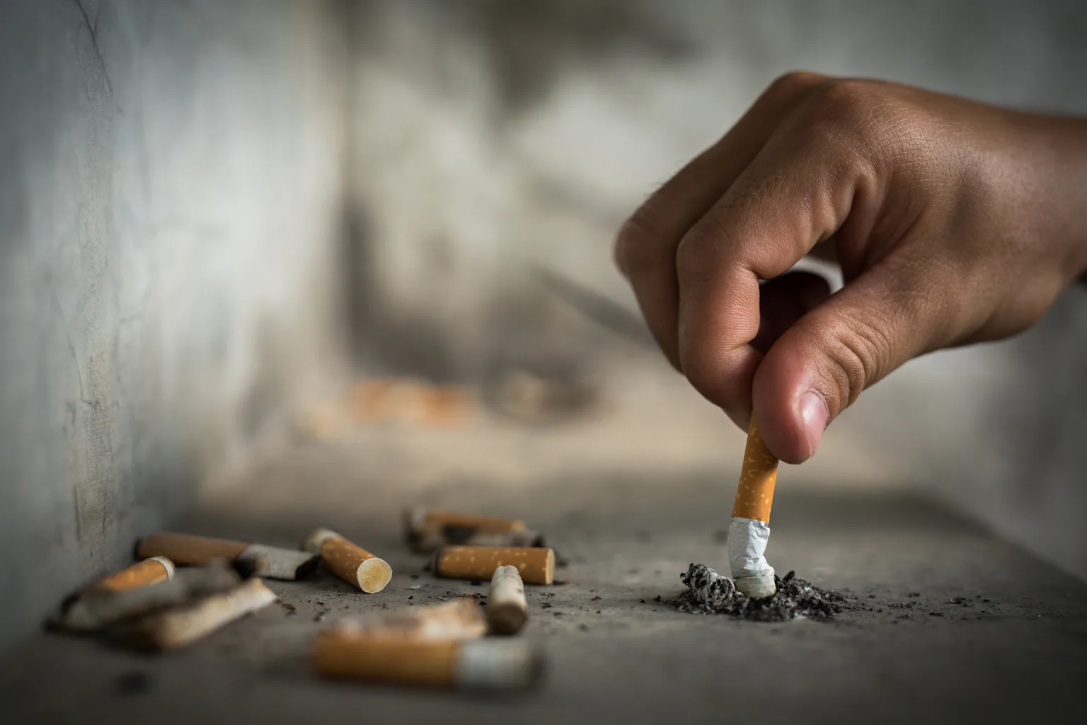 where to buy esse cigarettes Esse Change Juicy (Space Edition) ‣ Duty Free Price ‣ 5€👍 where to buy esse cigarettes Esse Change Juicy (Space Edition) ‣ Duty Free Price ‣ 5€👍