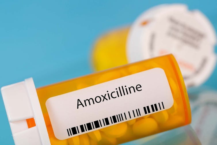 A bottle of antibiotics.