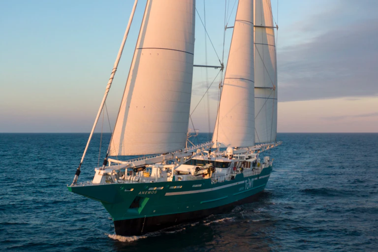 Cargo à voiles voguant en mer.