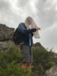 A man standing with his head inside a net while searching for moths