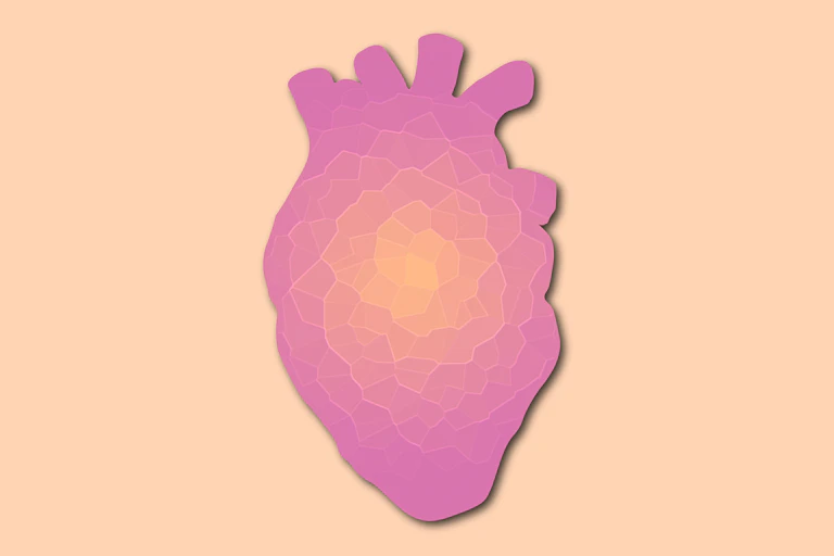 Illustration of paneled heart