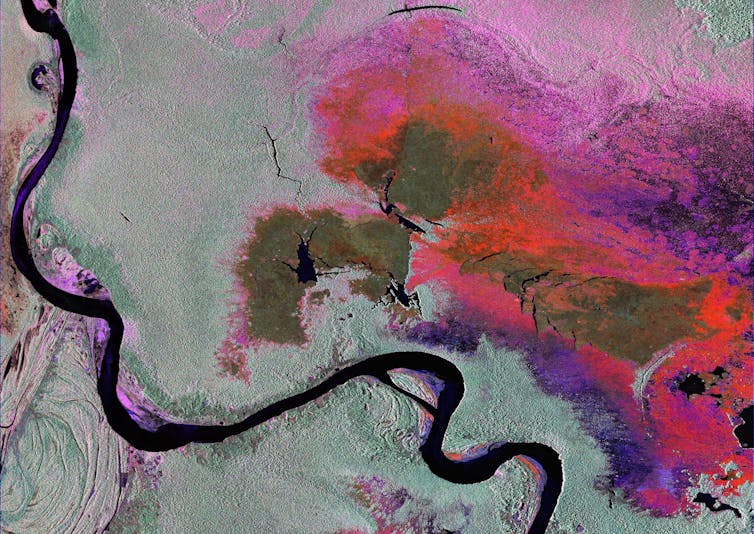 An aerial image of a river and wetland area that's coloured in pink and deep purple.
