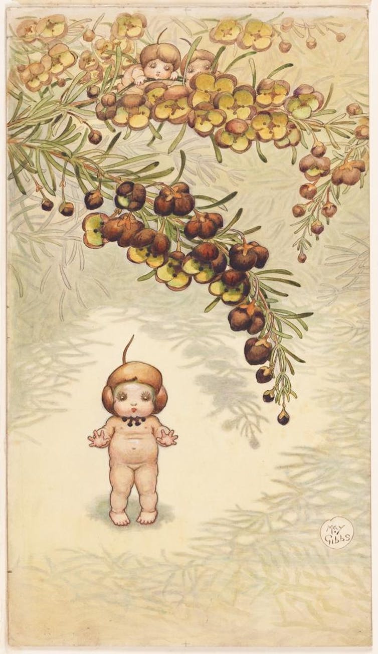A coloured illustration of Boronia Babies and the flowering plant _Boronia megastigma_ by the children's author and illustrator May Gibbs