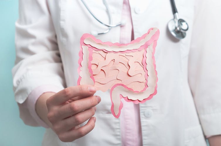 A person in a white coat holding a cardboard cutout of the human gut.