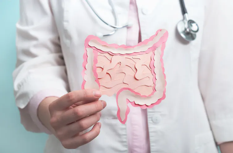 A person in a white coat holding a cardboard cutout of the human gut.