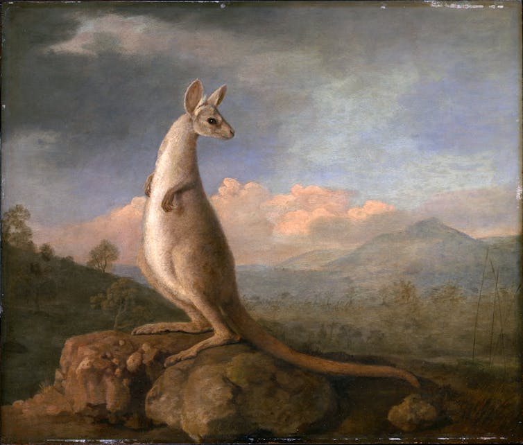 Painting of a kangaroo.