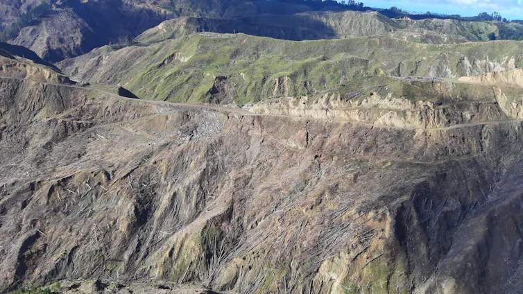 Aerial view of a clear-felled forest.