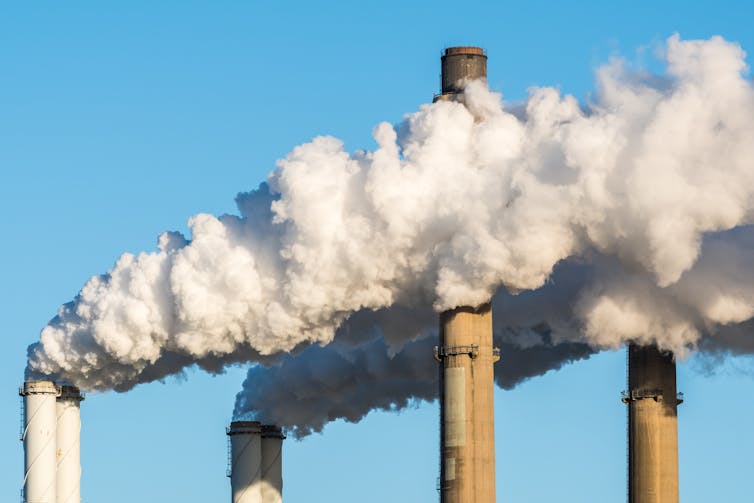 Coal energy crops had been paid to near. Is it time to do the similar for slaughterhouses? 2 Power station smokestacks against a blue sky.