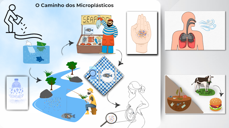 Do descarte de plásticos ao consumo humano: microplásticos se formam no ambiente aquático, entram na cadeia alimentar e são detectados em peixes, placenta humana e carne bovina. Presença também identificada no ar e no solo.