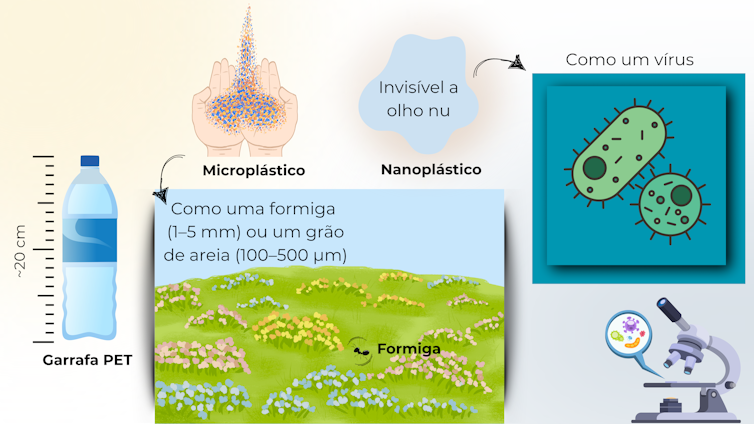 Comparação de escalas: garrafa PET, microplásticos próximos a uma formiga e representação de nanoplásticos com apoio de um microscópio e um vírus.