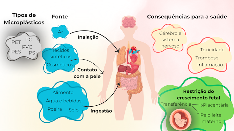 Microplásticos: tipos, fontes, vias de entrada no organismo humano e seus possíveis impactos na saúde.