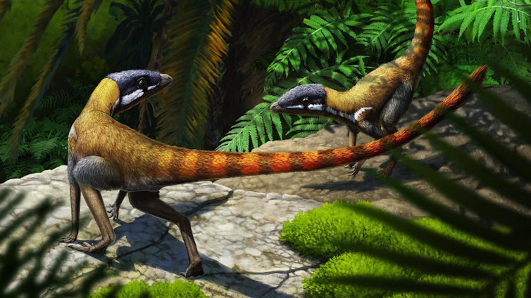 Artist's impression of a Scleromochlus