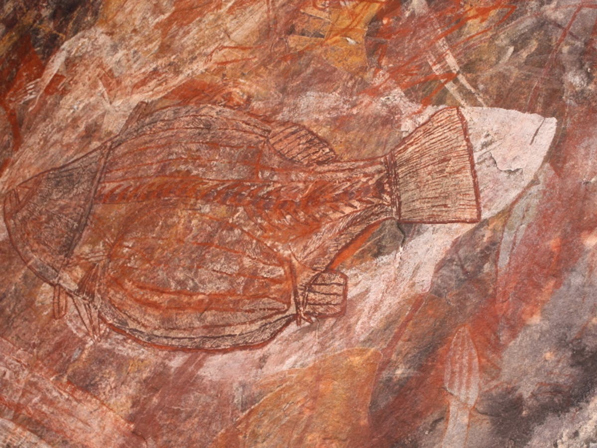 Pigments And Palettes From The Past Science Of Indigenous Art