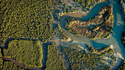 Wetland restoration is seen as sunk cost – but new research shows why it should be considered an investment