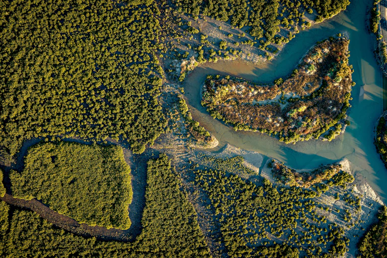 An aerial view of a coastal mangrove forest