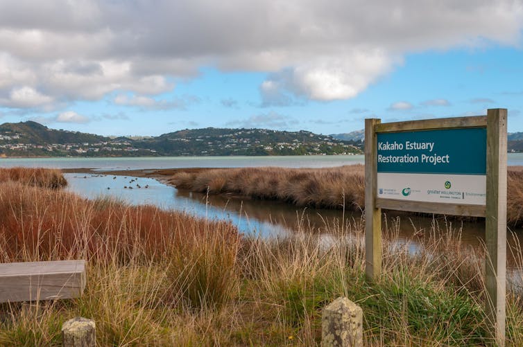 A notice board near a small stream among beachgrass at the Kakaho wetlands restoration project.