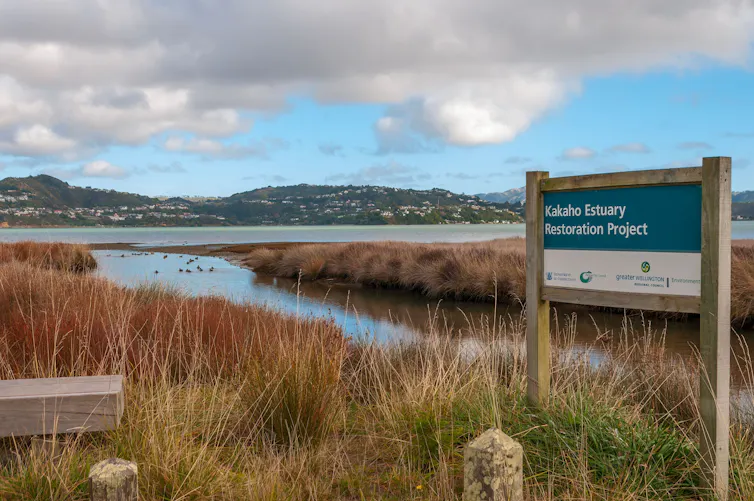 A notice board near a small stream among beachgrass at the Kakaho wetlands restoration project.
