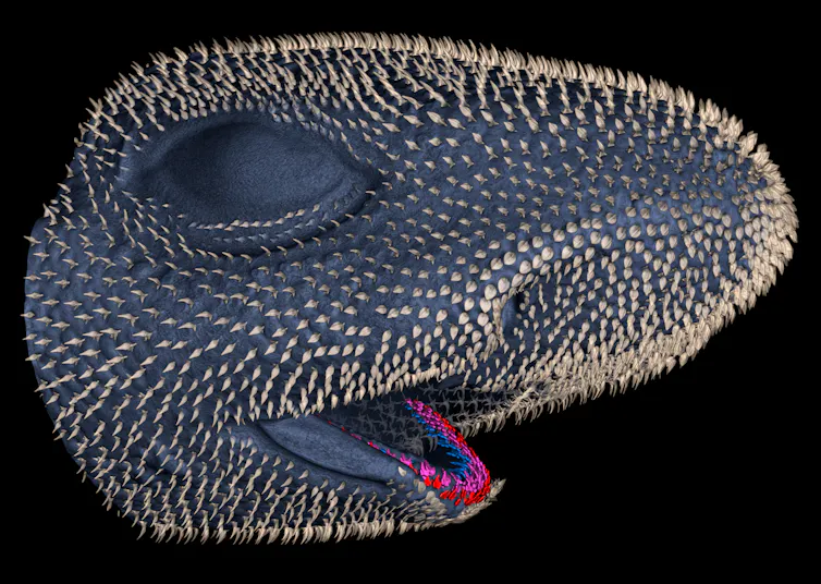 looks like a face with a big eye and an open mouth, everything covered with little bumps