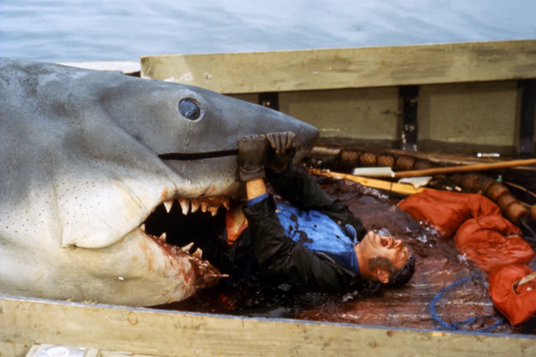 A man in the mouth of a shark.