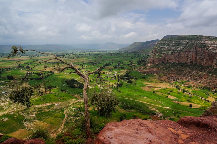 Green landscape of Tigray in Africa