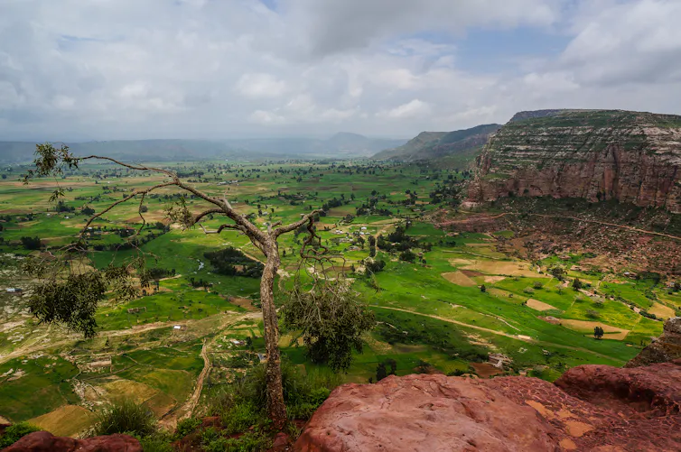 Green landscape of Tigray in Africa