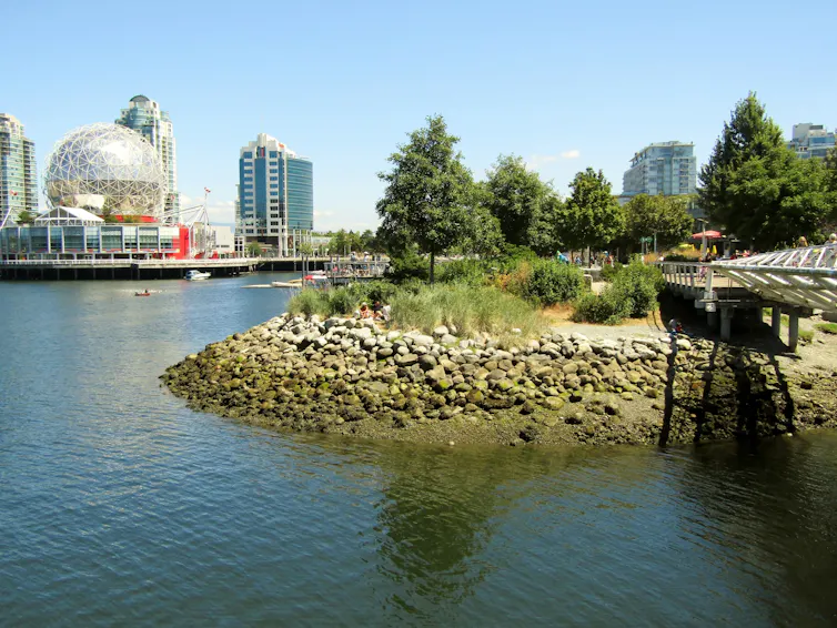 boulders along a shoreline near some trees. Buildings are seen in the background