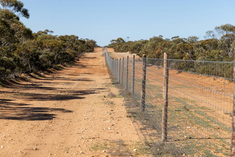 A fence in the outback.
