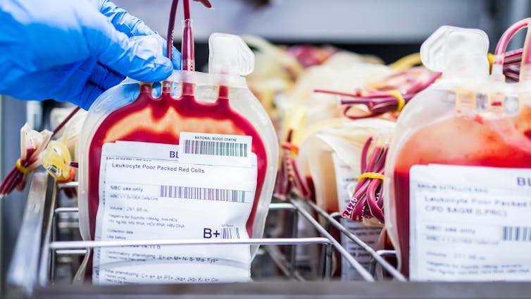 Bags of blood