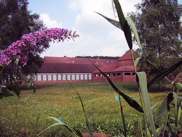 Excursion de France 2025: When herbal reserves happen on polluted places 1 file 20250618 56 wmzfii.jpg?ixlib=rb 4.1