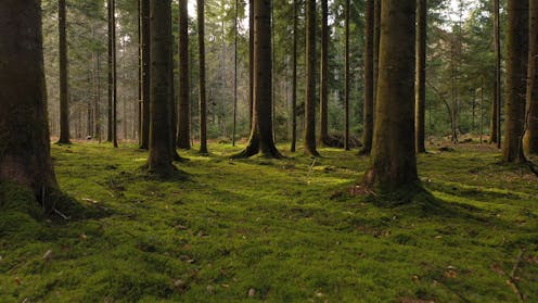 Propozohet data e re fillestare për Anthropocene – kur njerëzit filluan të ndryshojnë nivelet globale të metanit